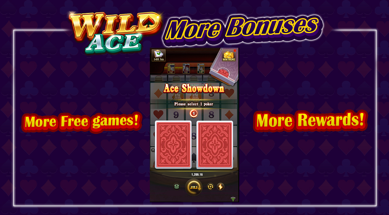 Wild Ace: More Bonus