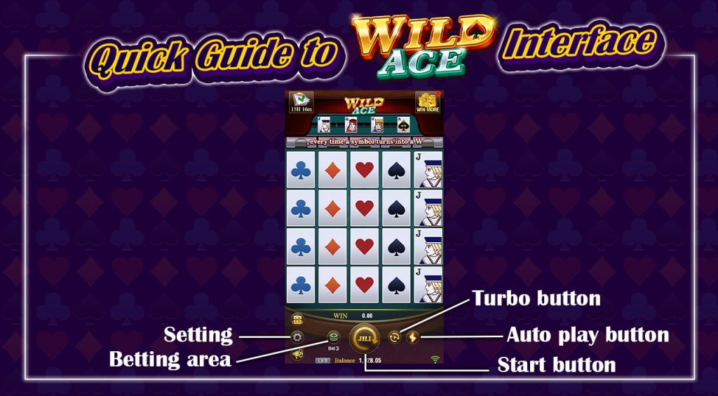 Quick Guide to Wild Ace Interface